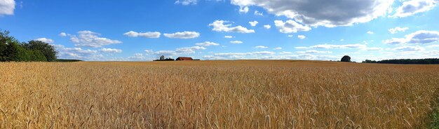 New Farm Bill: Analyzing the Impacts on Agriculture and Food Prices