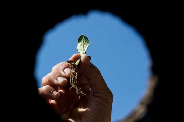 A detailed close-up of hands holding soil with a young seedling emerging, symbolizing the beginning of agricultural production. The background is blurred, emphasizing the seedling and the hands nurturing it. The image evokes themes of growth, sustainability, and the importance of agricultural practices.